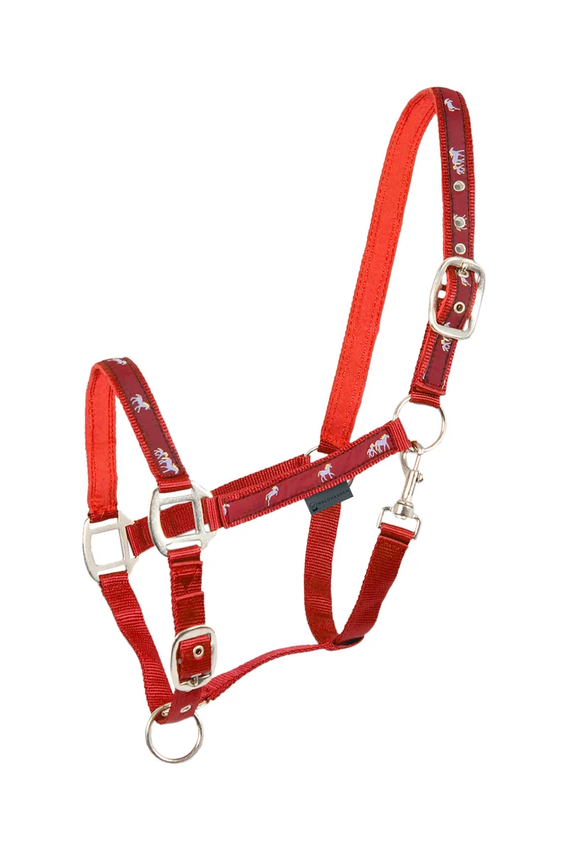 Little Horse Licol à Motif Red P