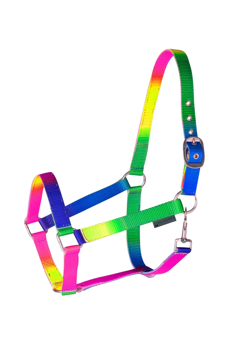Neon Rainbow Licol Coloré Neon Multicolor F