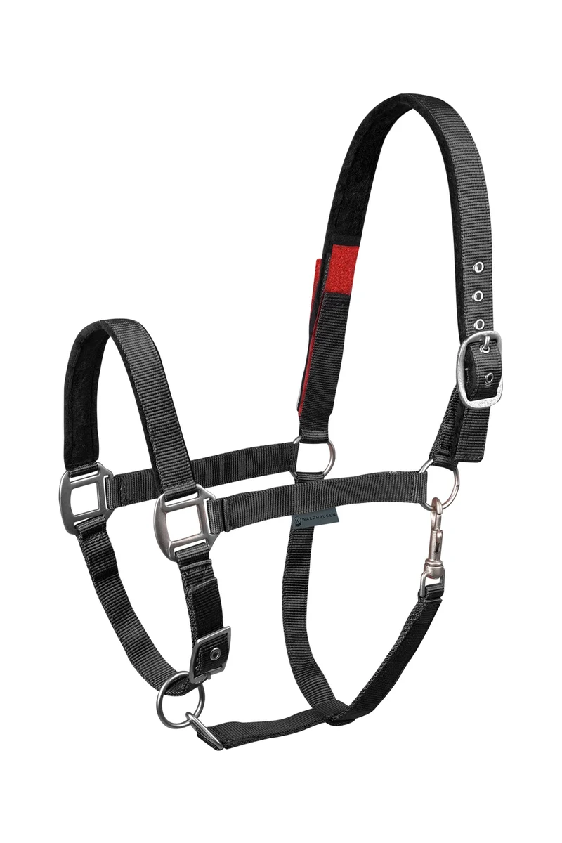 Clever-Open Licol de Sécurité Black P
