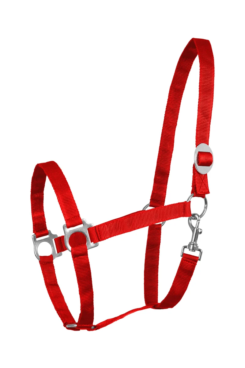 Perlon Licol Red P