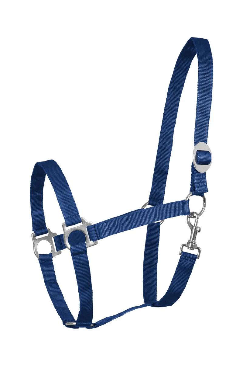 Perlon Licol Blue C