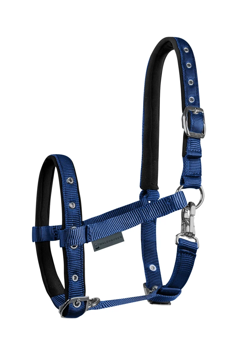 Foal Comfort Licol Dark Blue Poulain