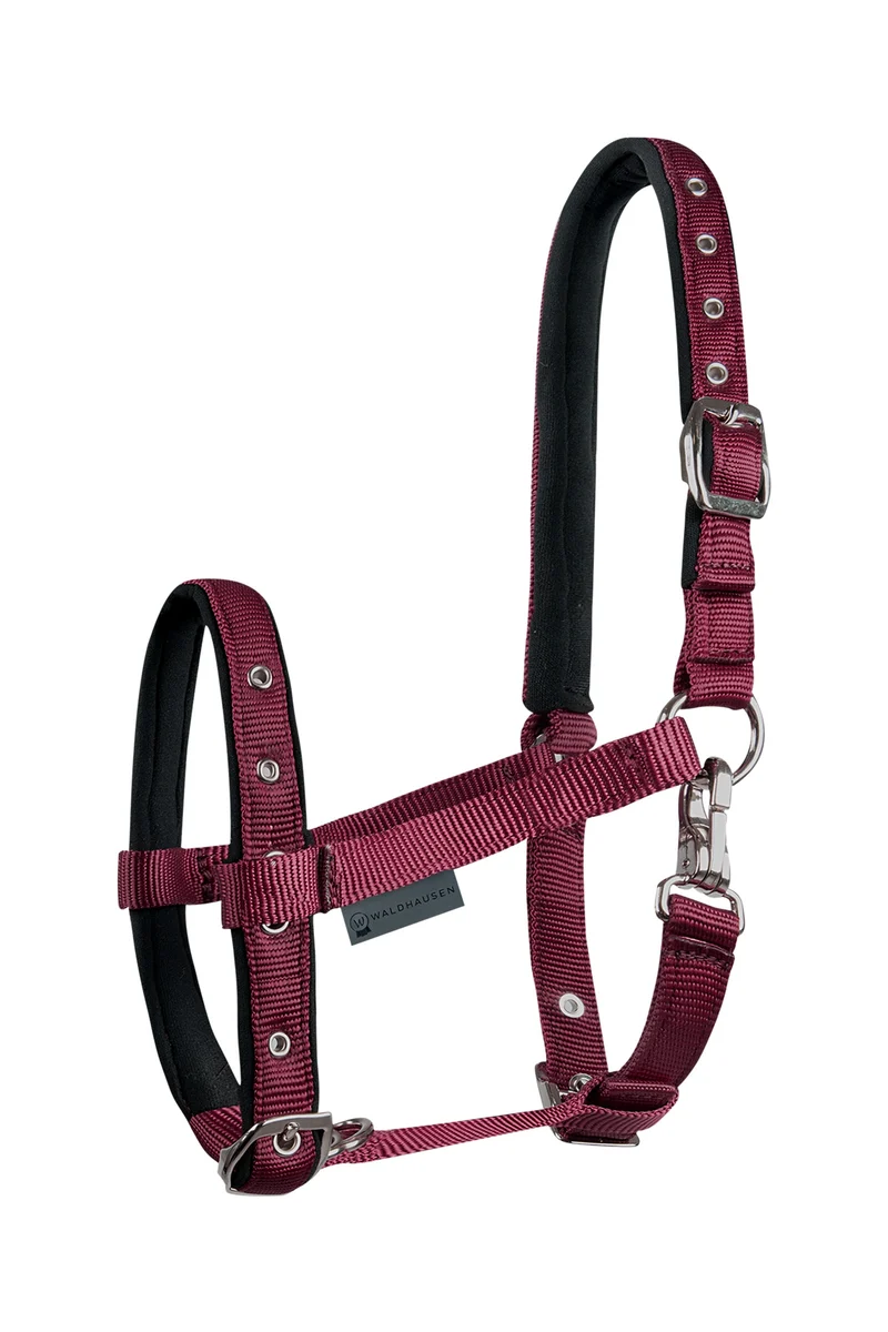 Foal Comfort Licol Bordeaux Poulain