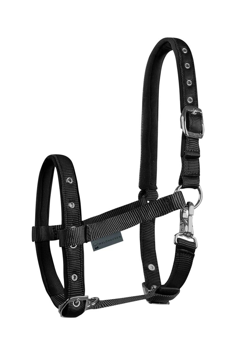 Foal Comfort Licol Black Poulain