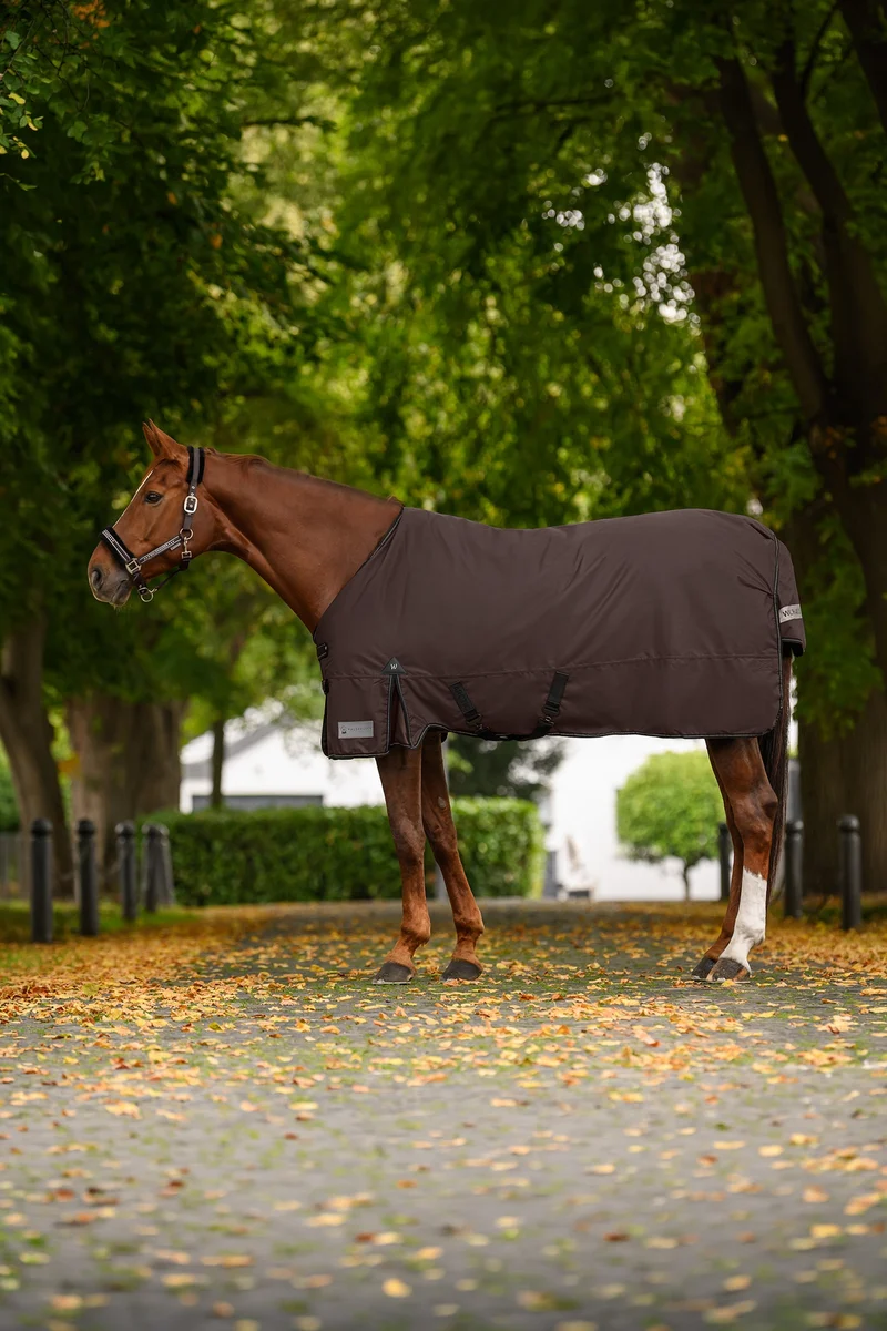 ARCTIC 600D Couverture d'Extérieur Légère Espresso 165