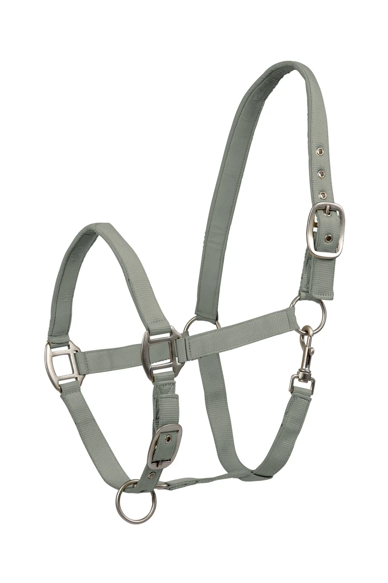 Perlon Satin Licol Sage C