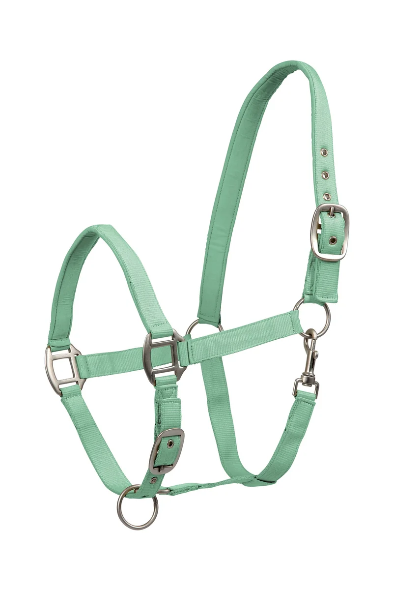 Perlon Satin Licol Pistachio P