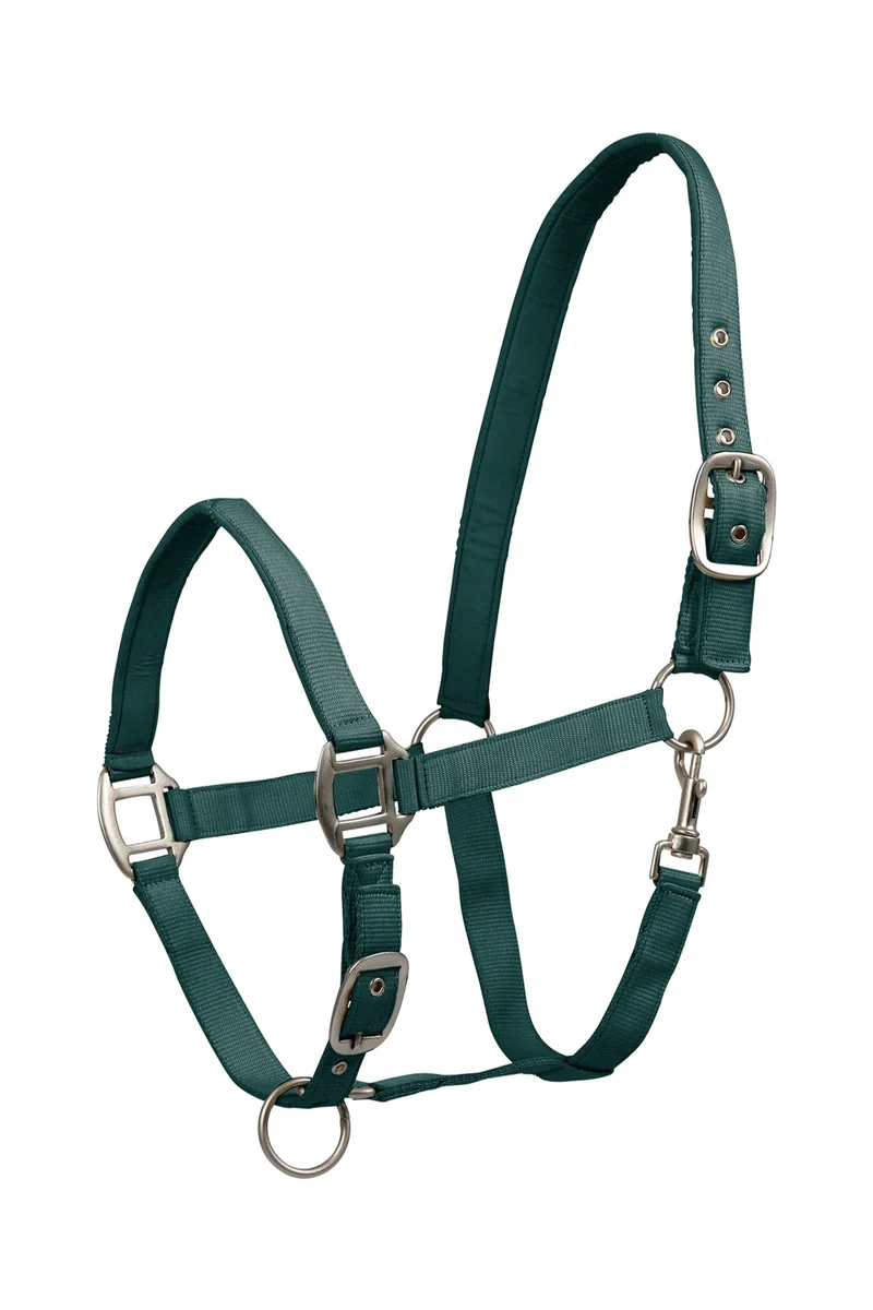 Perlon Satin Licol Fir Green P