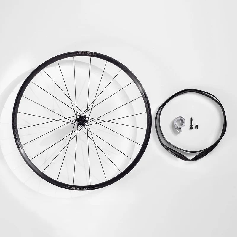 Paradigm Comp TLR Disc Brake Rear Wheel