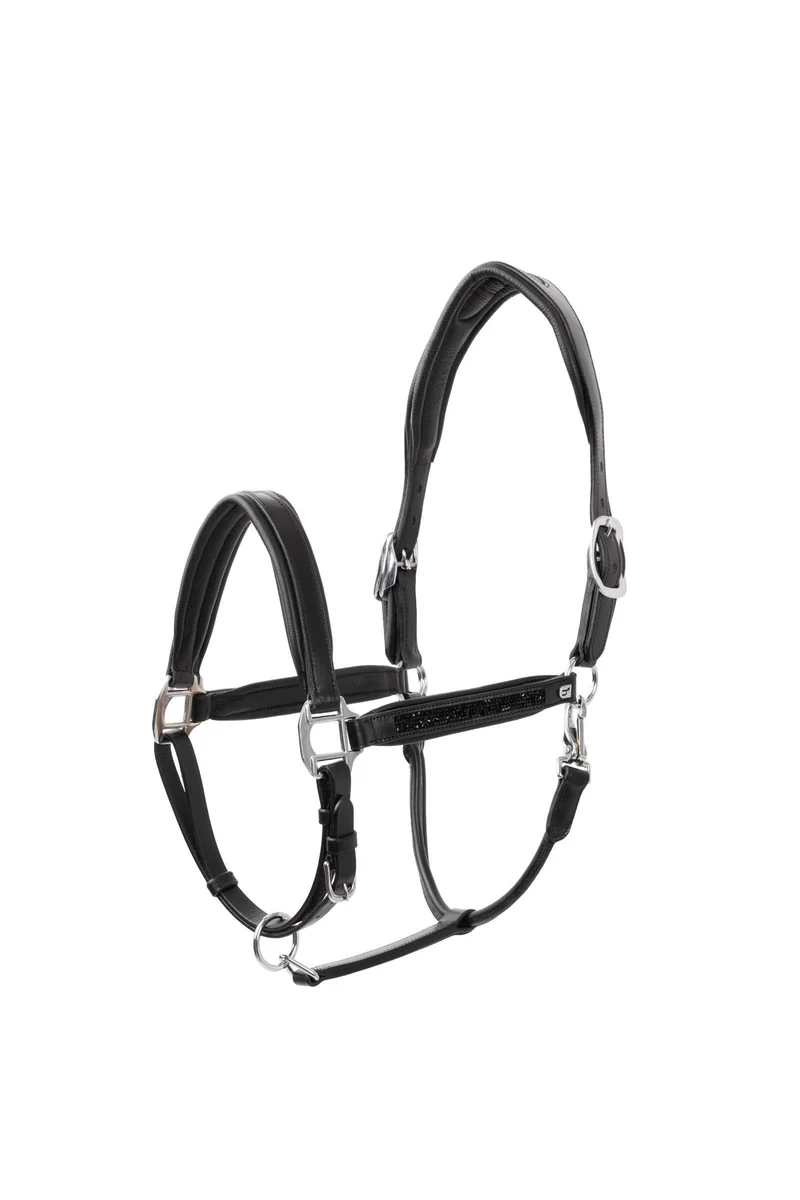 Licol en cuir Delémont Black C