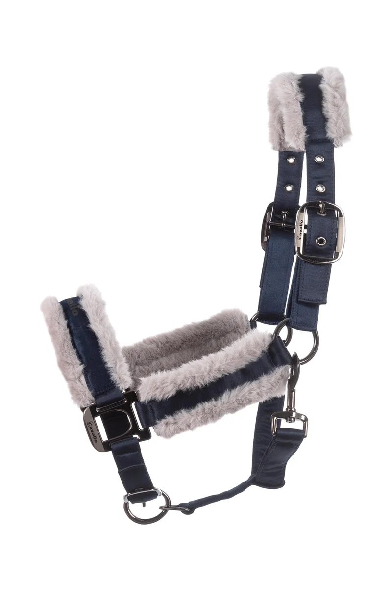 CAVALJERO licol Darkblue X-Full