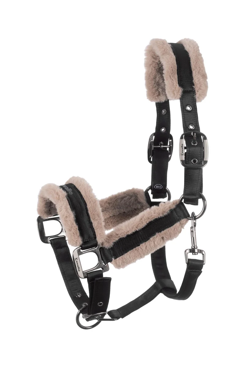CAVALJERO licol Black X-Full