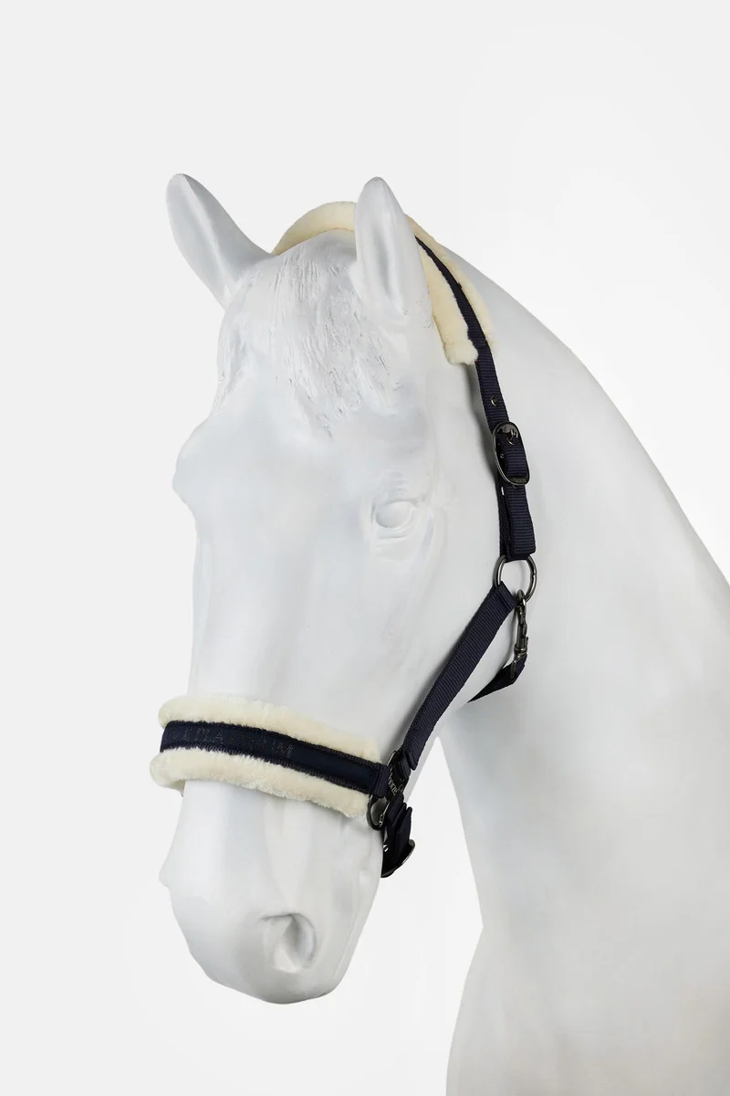 Howard licol Seaborne navy P