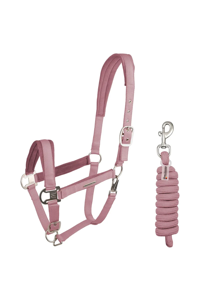 Ensemble Licol et Longe en Velours Dusky Pink C