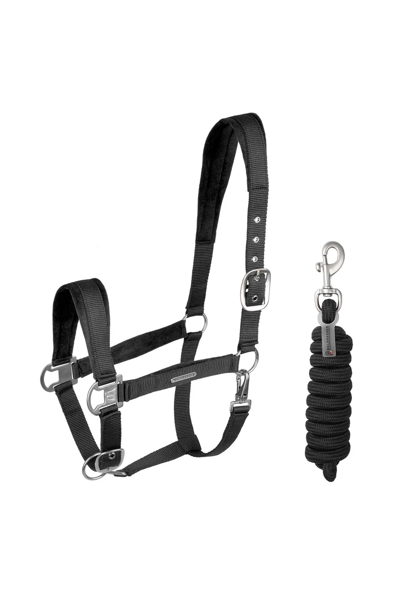 Ensemble Licol et Longe en Velours Black C