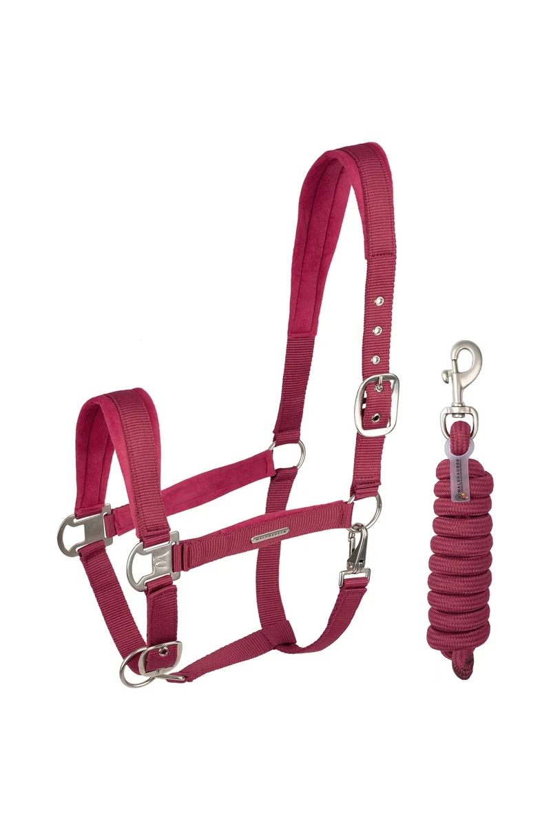 Ensemble Licol et Longe en Velours Pomegranate P