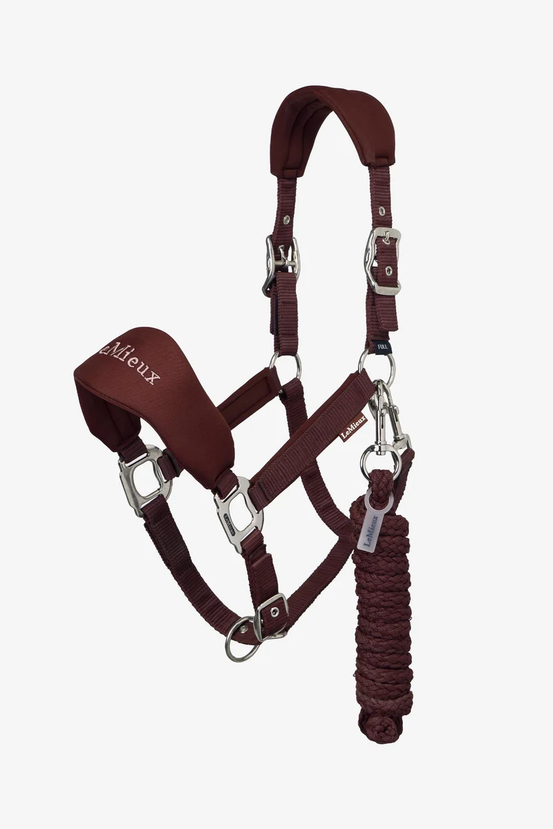 Breakaway Vogue licol Bramble C