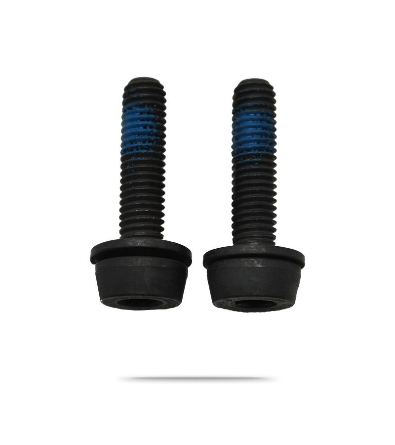 Flat Mount Rear Caliper Bolts
