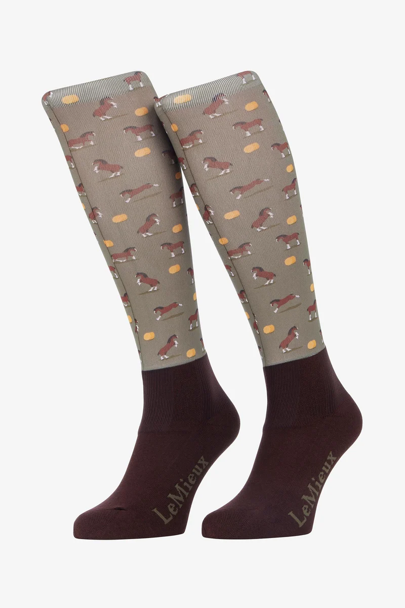 Footsie chaussettes Clydesdale/Willow 37-41