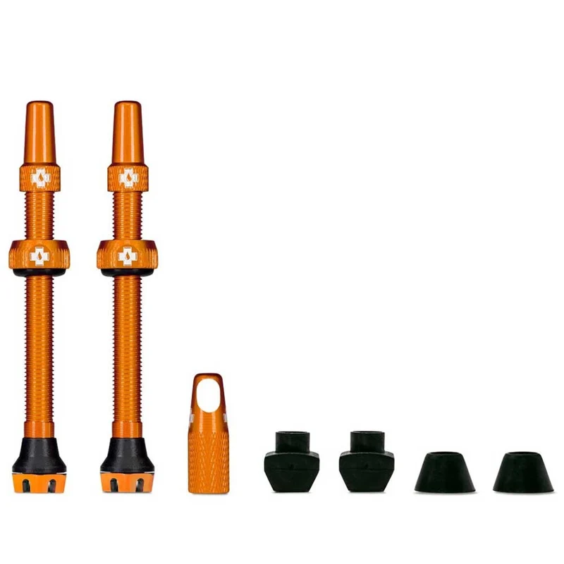 Tubeless Valve Kit V2