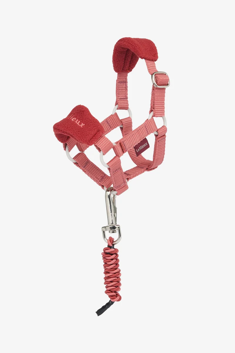Vogue licol et longe pour poney jouet Spiced Earth Taille unique