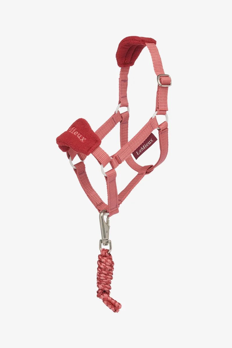 Hobby Horse Vogue licol et longe Spiced Earth Taille unique
