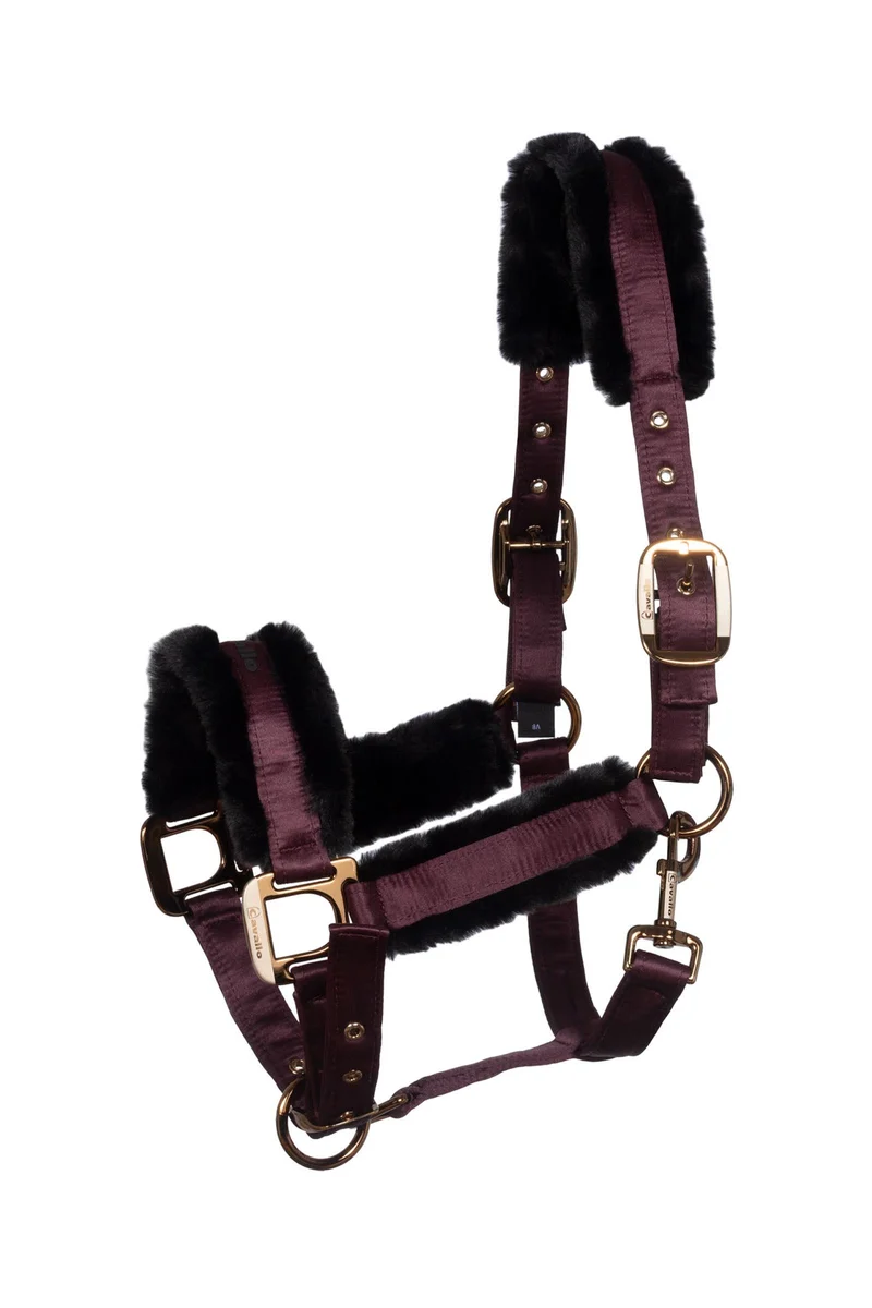 CAVALJERO licol Dusty Plum C