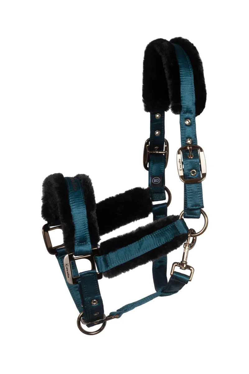 CAVALJERO licol Dark Peacock X-Full