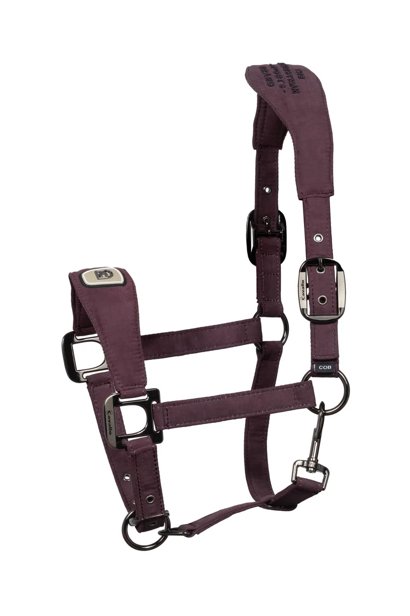 CAVALPAWEL licol Dusty Plum P