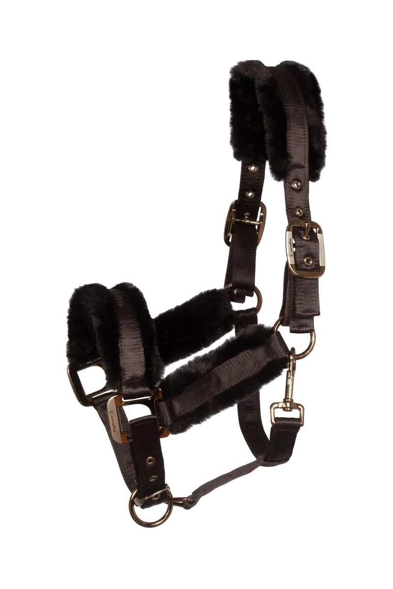 CAVALJERO licol Café Noir X-Full