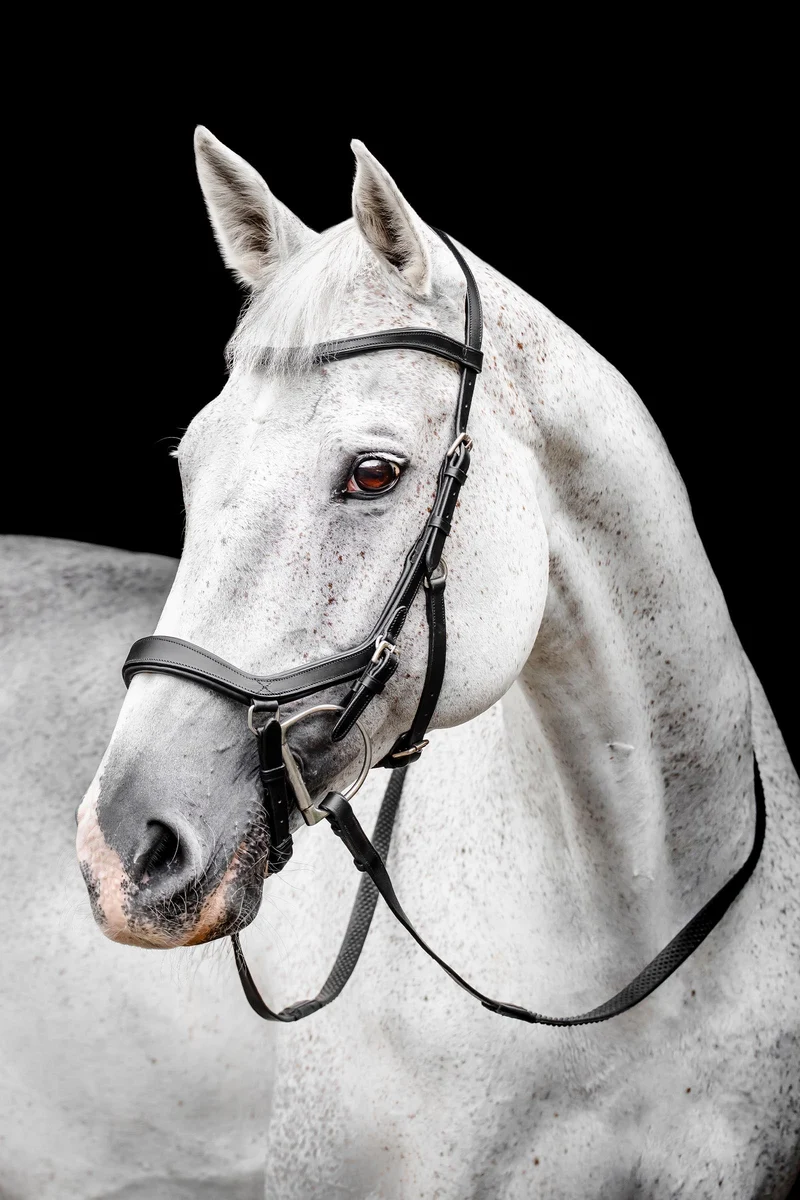 Rambo Micklem bride de compétition Black C